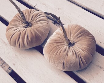 Champagne Velvet Pumpkins, Home Thanksgiving  Decor, Fall Home Accent Decor, Halloween Decor - set of two