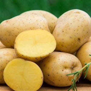 May include: A collection of whole and halved yellow potatoes with smooth, light tan skin and small dark spots. The cut surfaces reveal a solid, pale yellow interior flesh. A small sprig of green rosemary is visible in the lower right corner.