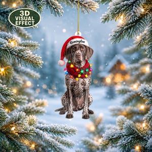 Op de afbeelding: Een hangende kerstversiering met een Duitse staande hond met korthaar die een rode kerstmuts draagt met de naam Remington op de rand en een rode gebreide sjaal om de nek versierd met kleurrijke, gloeiende kerstverlichting.