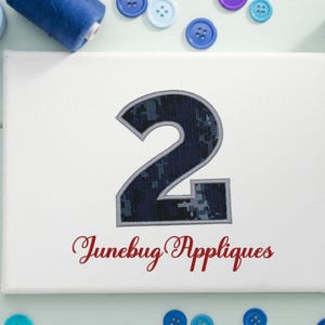 May include: A white canvas with a blue and gray number two applique. The number is surrounded by blue and purple buttons. The text "Junebug Appliques" is written in red below the number.