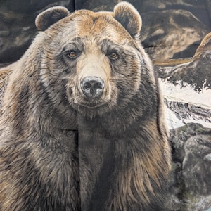 Riley Blake Fabric Panel Majestic in Nature Bear Panel Quilt Fabric