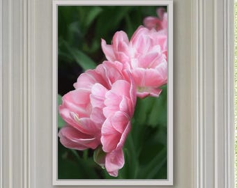 Estampado floral de tulipanes rosas: Impresión o lienzo de arte botánico moderno para pared