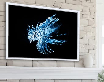 Lámina artística de pez león azul: decoración costera moderna para el hogar