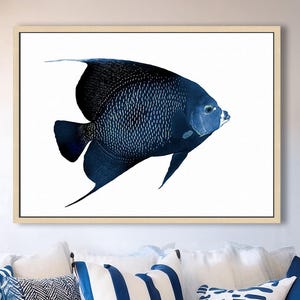 Tropical Fish Artwork, Angelfish, Modern Coastal Wall Decor, Marine Beach House Print Navy Blue Sea Life Art Framed/Unframed-Canvas/Print