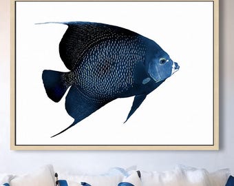 Impresión artística de pez ángel francés: decoración de pared moderna en azul marino costero, impresión o lienzo