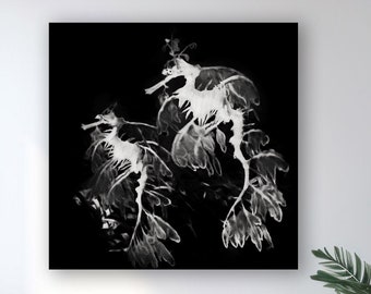 Black & White Contemporary Coastal Art, Sea Dragon Painting, Modern Beach Art, Leafy Sea Dragon, Gift, Framed/Unframed Canvas/Fine Art Print