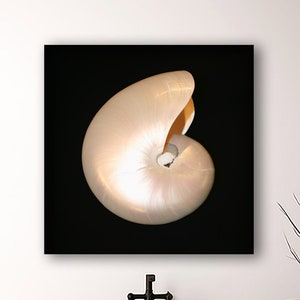 Nautilus Wall Art, Nautilus Shell Art, Black & Beige Beach Decor, Ocean Art, Seashell Art, Coastal, Framed/Unframed Canvas or Fine Art Print