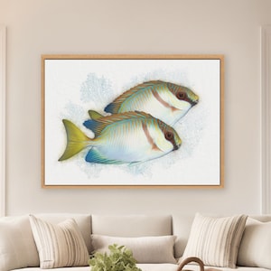 Modern Coastal Wall Decor, Tropical Fish Art, Beach House Art, Fish Painting, Beach/Bath Decor, Coastal gift, Framed/Unframed-Prints/Canvas