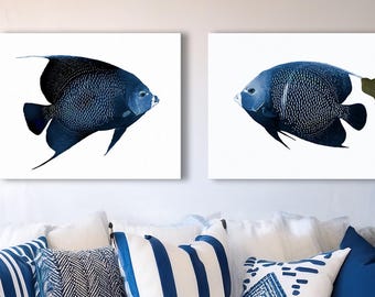 Conjunto de impresiones en lienzo de pez ángel: decoración tropical azul marino costero