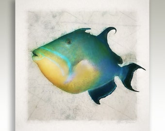Queen Triggerfish Art Print or Canvas: Coastal Nautical Decor, Framed/Unframed Options