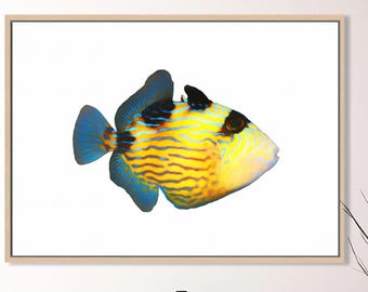 Blueline Triggerfish Art Print: Modern Coastal Beach House Decor