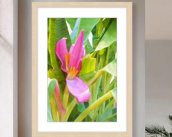 Lámina artística "Banana Bloom": Flor tropical rosa, decoración isleña