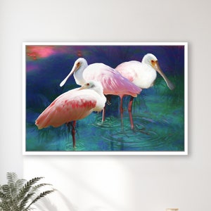 Roseate Spoonbill Trio, Tropical Birds, Spoonbill Lover Gift, Pink Bird Print, Coastal Decor, Beach House Art, Framed/Unframed Prints/Canvas