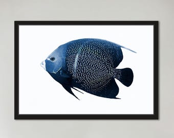 Estampado costero azul marino, arte de peces ángel: decoración única para casa de playa, lámina o lienzo