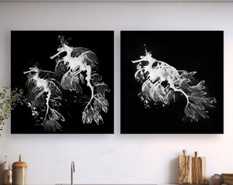 SET of TWO Black & White Contemporary Coastal Art, Sea Dragon Painting, Modern Beach Print, Leafy Sea Dragon, Gift, Ready to Hang Canvas Set