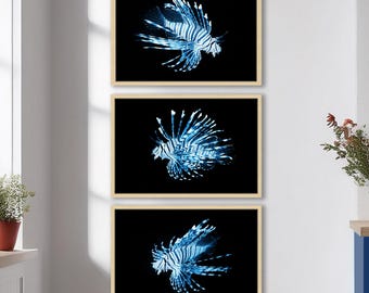 Lienzo decorativo de pez león: decoración costera moderna, con o sin marco