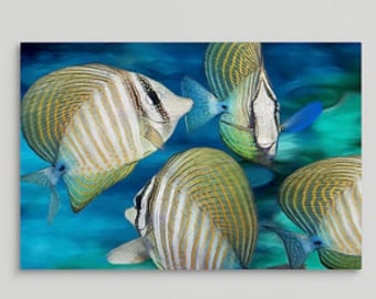 Fish Art, Sailfin Tang Art, Tropical Fish Print, Fish Painting,Blue & White Beach Decor, Tropical Art,  Framed or Unframed Art Prints/Canvas