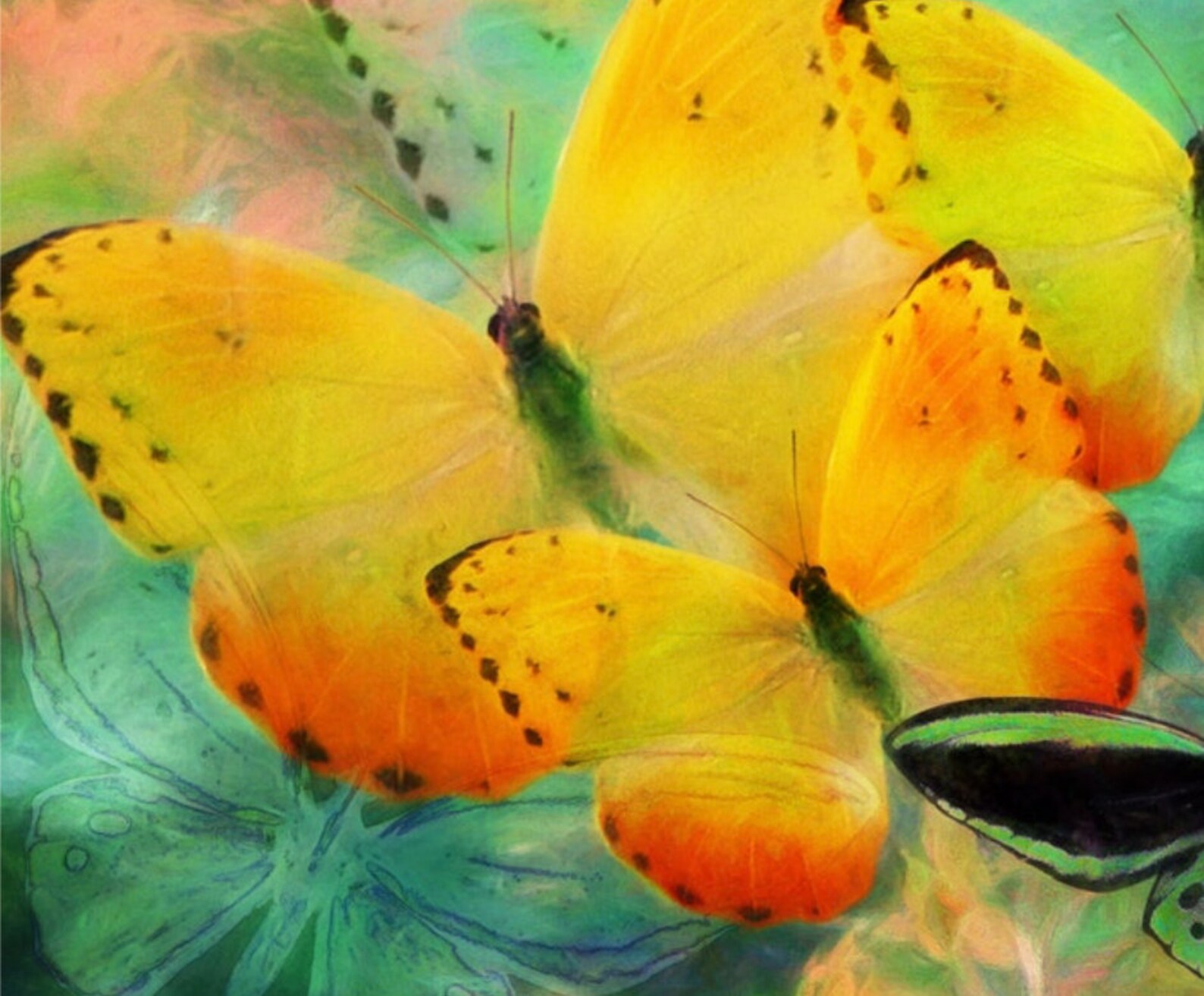 Yellow Butterfly Wall Art Butterflies Gift Butterfly Lover Etsy