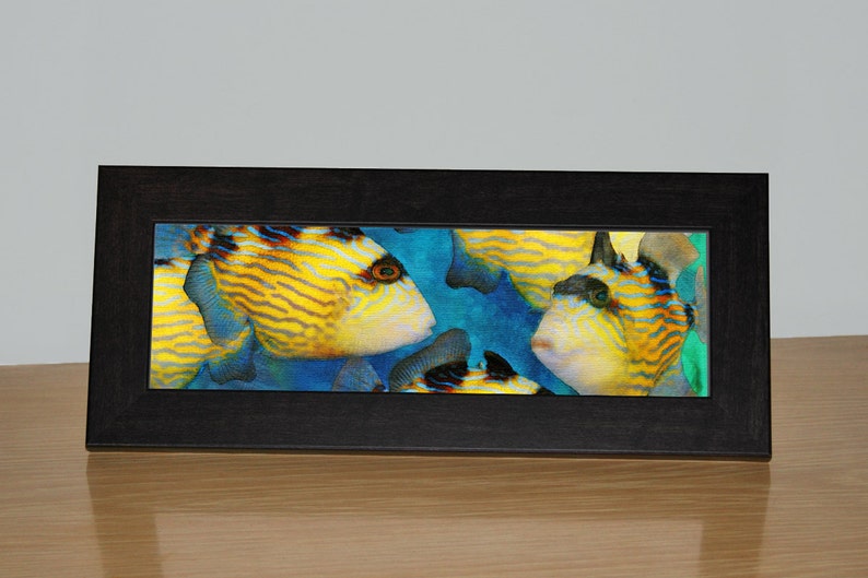 tropical fish beach decor