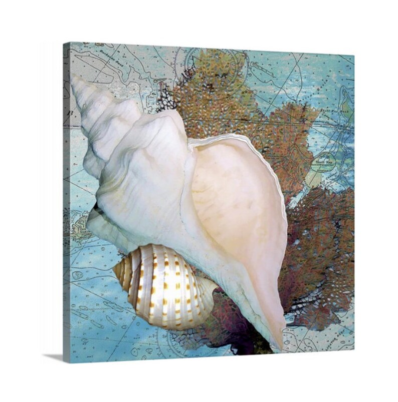 Seashell Art Nautical Beach Decor FramedUnframed Canvas or Fine Art Print Contemporary Coastal Art Seashell Painting Sea Fan /& Shells