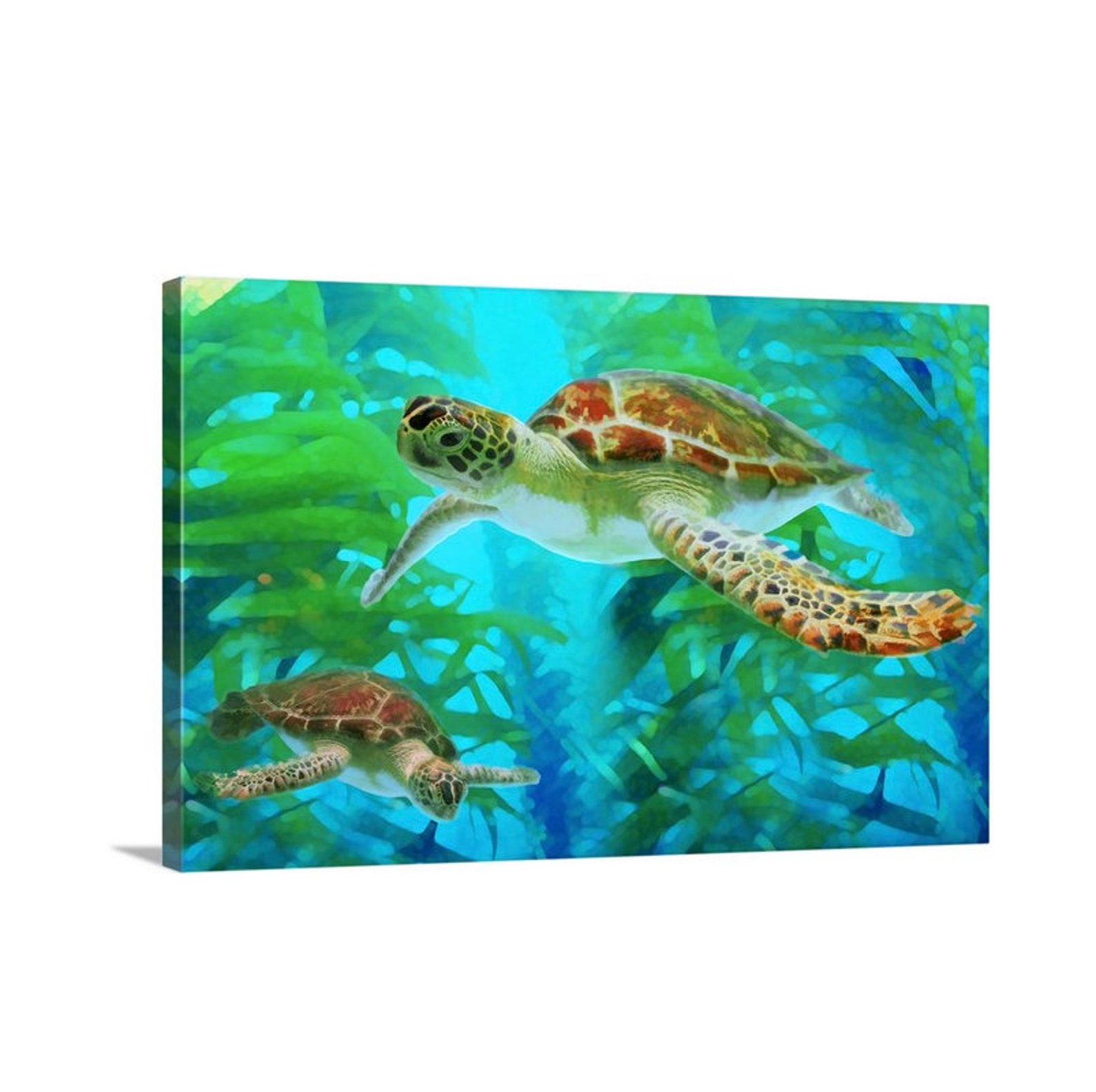 Sea Turtle Art Sea Turtles Art Print Sea Turtle Canvas | Etsy