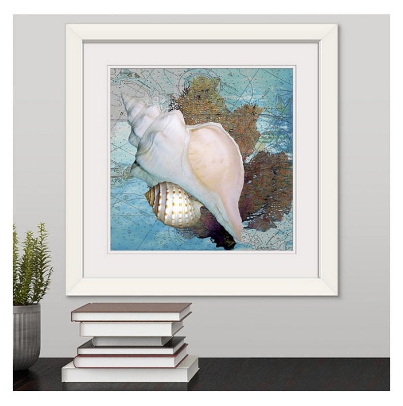 Seashell Art Nautical Beach Decor FramedUnframed Canvas or Fine Art Print Contemporary Coastal Art Seashell Painting Sea Fan /& Shells