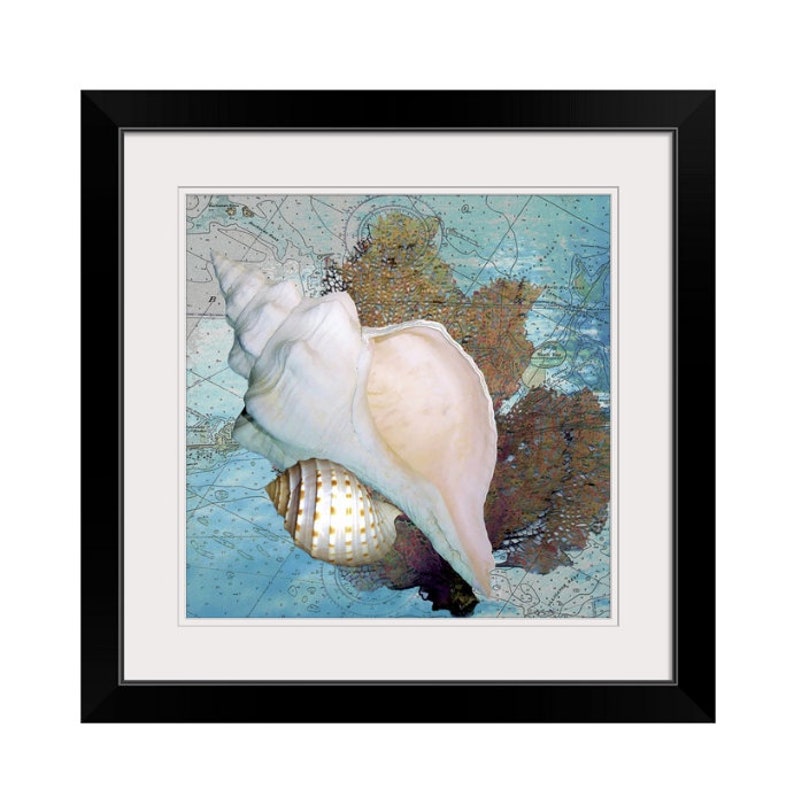 Seashell Art Nautical Beach Decor FramedUnframed Canvas or Fine Art Print Contemporary Coastal Art Seashell Painting Sea Fan /& Shells