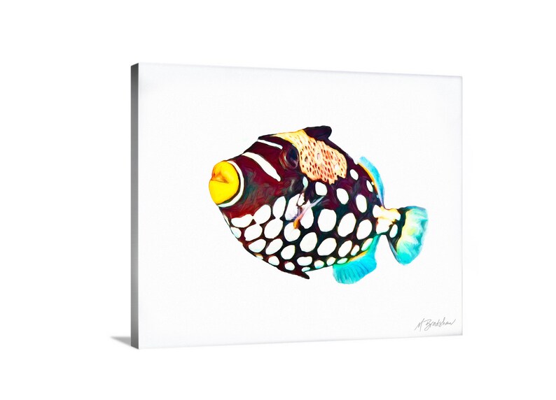 May include: A clown triggerfish art print on a white background. The fish features a dark body with large white spots on the lower half, a yellow mouth, and a patterned upper section. The fins are light blue, and a signature is visible in the corner.