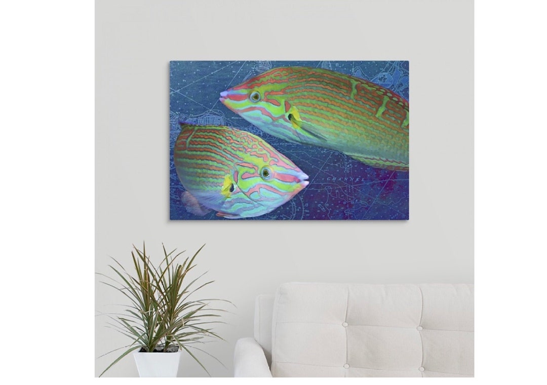 Blue Fish Artwork, Tropical Fish, Sunset Wrasse, Nautical Chart, Beach