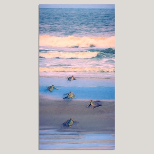 Baby Sea Turtles Ocean Canvas or Print, Large/Small Panoramic, Turtle Art, Sea Turtle Painting, Seascape, Coastal Decor, Beach Art, turtles