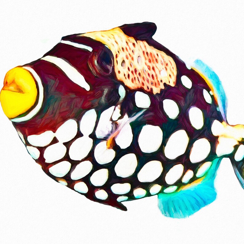 May include: A clown triggerfish illustration featuring a dark purple body with large white circular spots, a bright yellow mouth, a white stripe near the eye, and a textured tan patch on the upper back with light blue fins on the tail.
