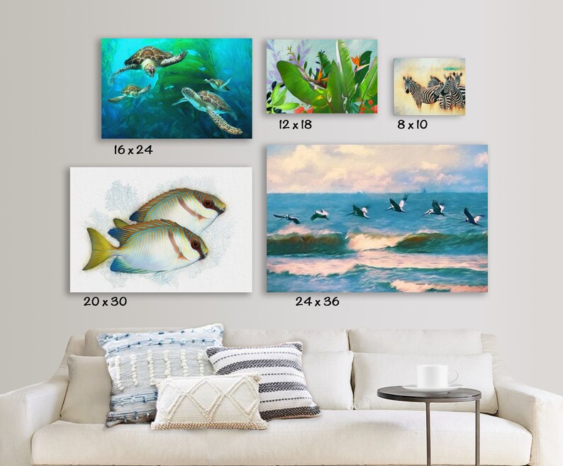 May include: A collection of five rectangular wall art prints featuring various nature scenes including sea turtles in blue water, tropical plants, zebras, two fish on a white background, and birds flying over ocean waves, with sizes 16x24, 12x18, 8x10, 20x30, and 24x36 inches.