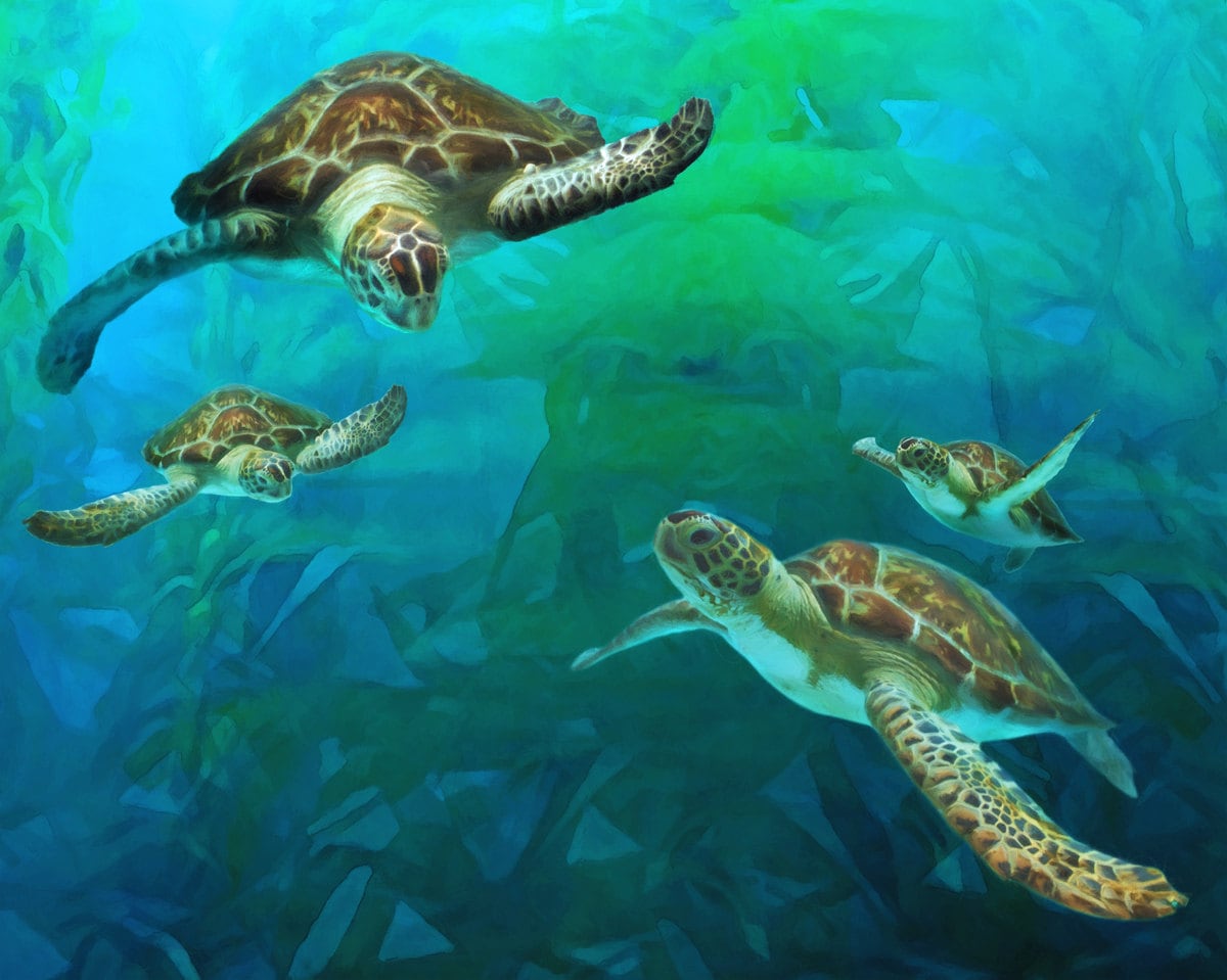 Sea Turtles on Canvas Sea Turtle Family Sea Turtles Etsy