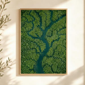 Può includere: Una stampa artistica da parete rettangolare che presenta una vista aerea di una fitta chioma forestale verde attraversata da un sinuoso fiume blu scuro. L'immagine mostra una prospettiva dall'alto di vegetazione lussureggiante e corsi d'acqua.