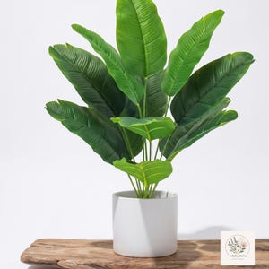 Peut inclure: Une plante artificielle de type bananier avec des feuilles larges et allongées d'un vert vif présentant des nervures visibles. La plante est placée dans un pot cylindrique blanc simple. Un petit logo carré avec le texte FoliaStudioCo est visible.