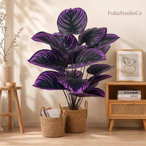 Può includere: Una grande pianta artificiale con foglie a strisce viola scuro e nere in un cesto di alghe intrecciate. La pianta presenta un fogliame largo e ovale con venature viola vivaci. Il testo FoliaStudioCo è visibile nell'angolo in alto a destra.
