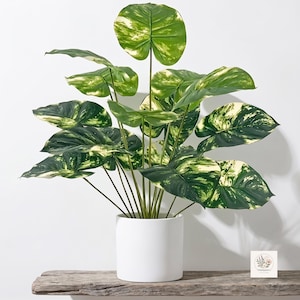 Künstliche Pflanze, 52 cm, künstlicher Baum für drinnen | Künstliche Schildkrötenblattpflanze für Büro und Terrasse, Miniaturbaum