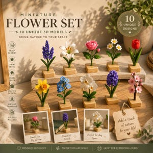 Könnte beinhalten: Ein Set aus 10 3D-gedruckten Miniatur-Blumenmodellen, jeweils auf einem kleinen Holzsockel. Die Sammlung umfasst eine violette Hyazinthe, eine weiße Lilie, eine rosa Rose, ein Gänseblümchen, eine rote Tulpe, eine Narzisse und Kirschblüten.