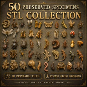 May include: A digital collection of 50 preserved specimens in STL format for 3D printing. The image displays various insects, reptiles, and small animals arranged in a grid on a dark background, with text reading 50 PRESERVED SPECIMENS STL COLLECTION.