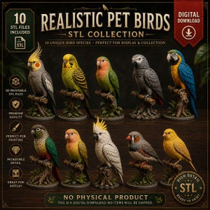 Op de afbeelding: Een digitale collectie van 10 realistische STL-bestanden van huisdiervogels voor 3D-printen. De afbeelding toont verschillende vogelsoorten, waaronder een valkparkiet, grasparkiet, dwergpapegaai, grijze roodstaart, ara, conure en kanarie.