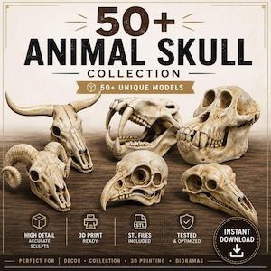 May include: A digital collection of 50+ animal skull models for 3D printing. The image displays five detailed, off-white bone-colored skull replicas, including a horned bull, a large predator, a primate, and two bird skulls, with text overlays.