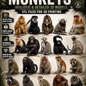 Può includere: Una collezione digitale di 20 modelli 3D di scimmie unici per la stampa 3D, che presenta varie specie tra cui scimpanzé, lemuri e oranghi. L'immagine mostra il testo 20 UNIQUE MONKEYS, REALISTIC & DETAILED 3D MODELS e STL FILES FOR 3D PRINTING.
