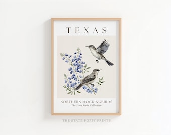 Texas State Vogel und Blumendruck, Spottdrossel und Bluebonnet Wandkunst, Americana Wandkunst
