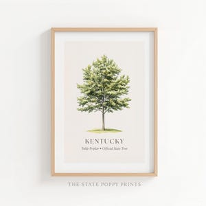 Kentucky Tulip Poplar Tree Print, Botanical State Tree Wall Art