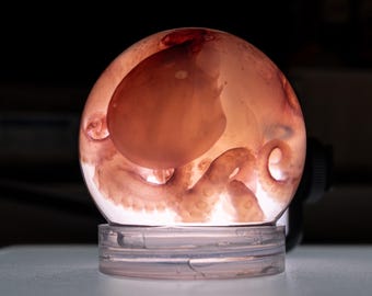 Boule pieuvre géante | Présentoir diaphane sur la biologie marine (boule en plastique), cadeau d'Halloween