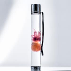 May include: A clear cylindrical pen with a metallic silver cap and pocket clip. Inside the transparent barrel, a small, preserved pink and orange octopus specimen is suspended in liquid, showing visible tentacles and a rounded body structure.