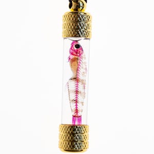 May include: A clear glass vial pendant featuring a preserved fish specimen with visible pink skeletal structures. The vial is capped with textured gold-tone metal ends and hangs from a black cord, creating a cylindrical display piece.