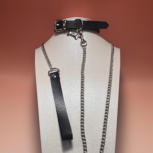 以下が含まれることがあります： シルバーのバックルと骨型のチャームが付いた黒い革製の犬用首輪。お揃いの黒い革製リードとシルバーチェーンが付属しています。セットは、白のマネキンの頭に、桃色の背景で表示されています。
