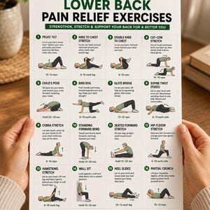 Peut inclure: Une affiche informative blanche intitulée LOWER BACK PAIN RELIEF EXERCISES présentant seize illustrations numérotées de mouvements physiques. Chaque section inclut des instructions textuelles et des répétitions pour des exercices comme les étirements.