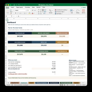 Puede incluir: Captura de pantalla de una hoja de cálculo de Excel titulada "Adoption_Cost_Planner". El panel muestra datos financieros, incluidos los costos estimados, los beneficios y la financiación. Las cifras clave se resaltan en verde y azul.